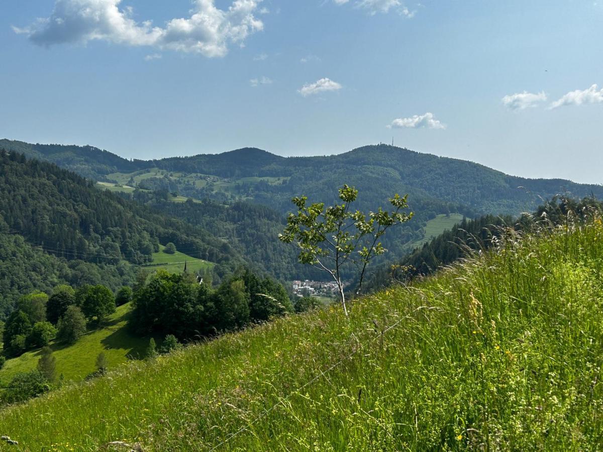 Cella Apartments **** Zell im Wiesenthal ภายนอก รูปภาพ